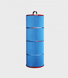 Cartucho Skimfiltre Anti Bacteriano